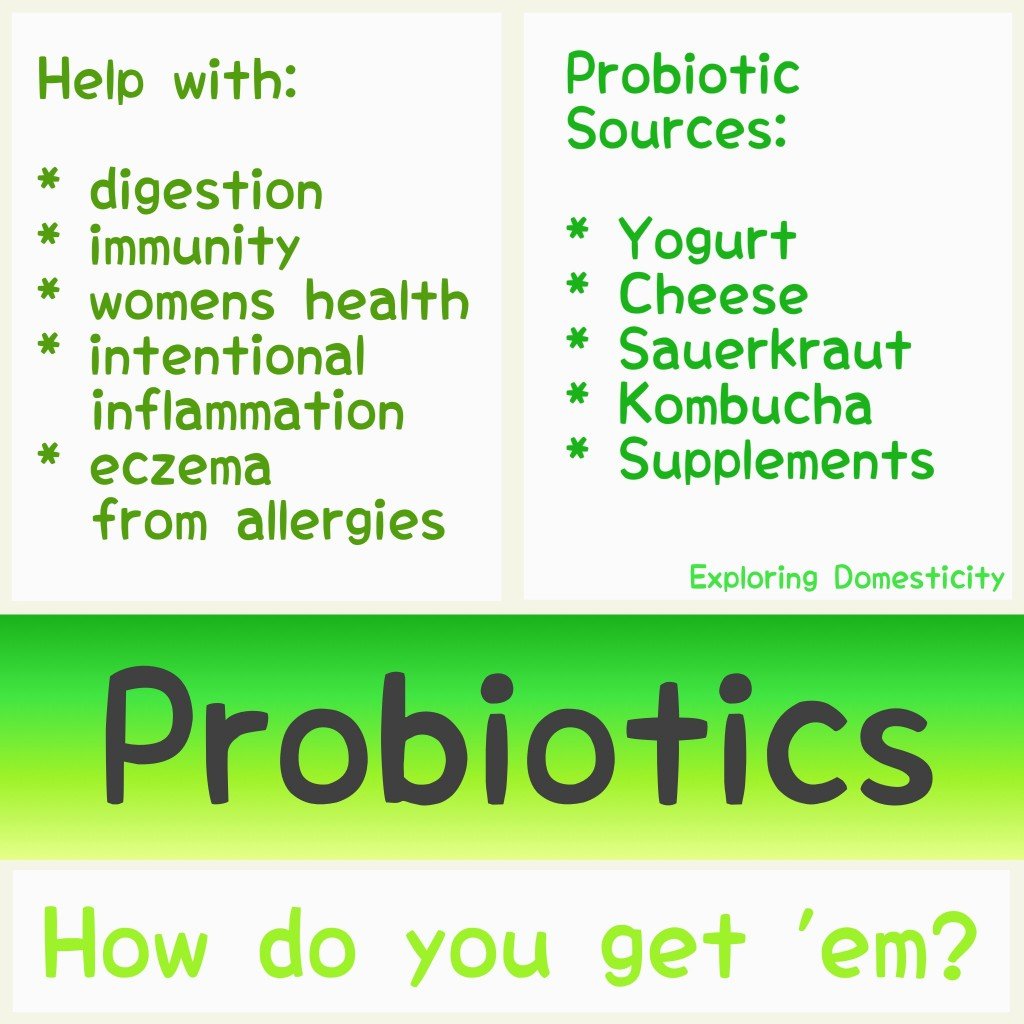 5 Ways to Get Your Probiotics {with ProbioSlim} â ...