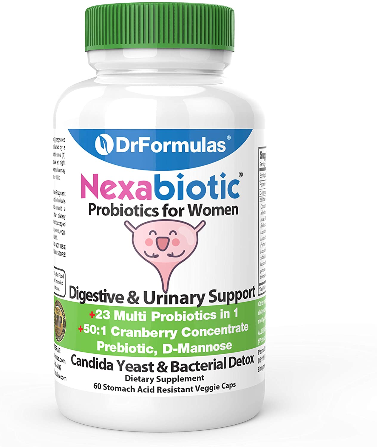 Best Probiotic for UTI Treatment [2021] Top Probiotics Supplement for UTIs