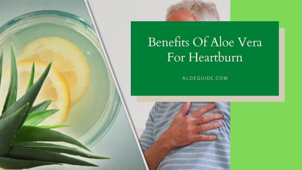 Best Remedies Using Aloe Vera For Heartburn