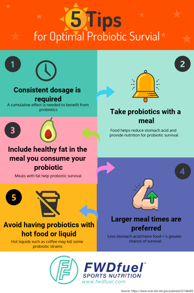 Best Time to Take Probiotics and 5 Crucial Tips for ...