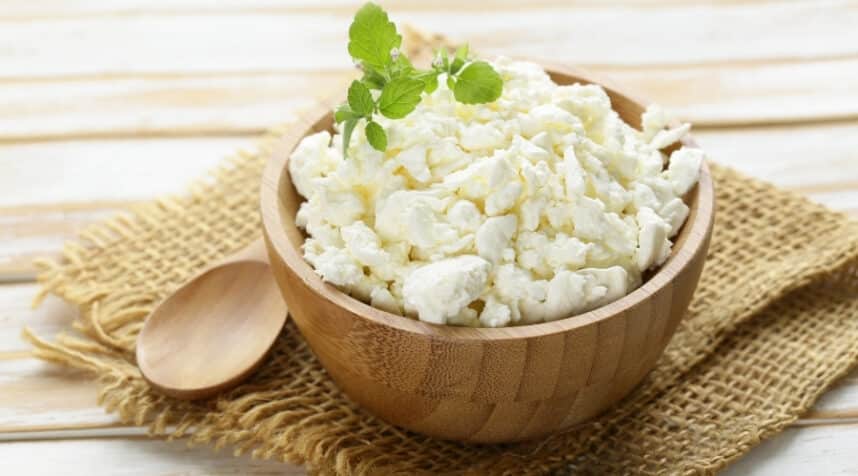 Can Dogs Eat Cottage Cheese? Is Cottage Cheese Safe For Dogs?