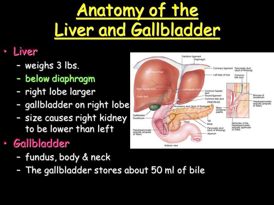 Can gallbladder cause constipation: Side Effects of Gallstones and ...