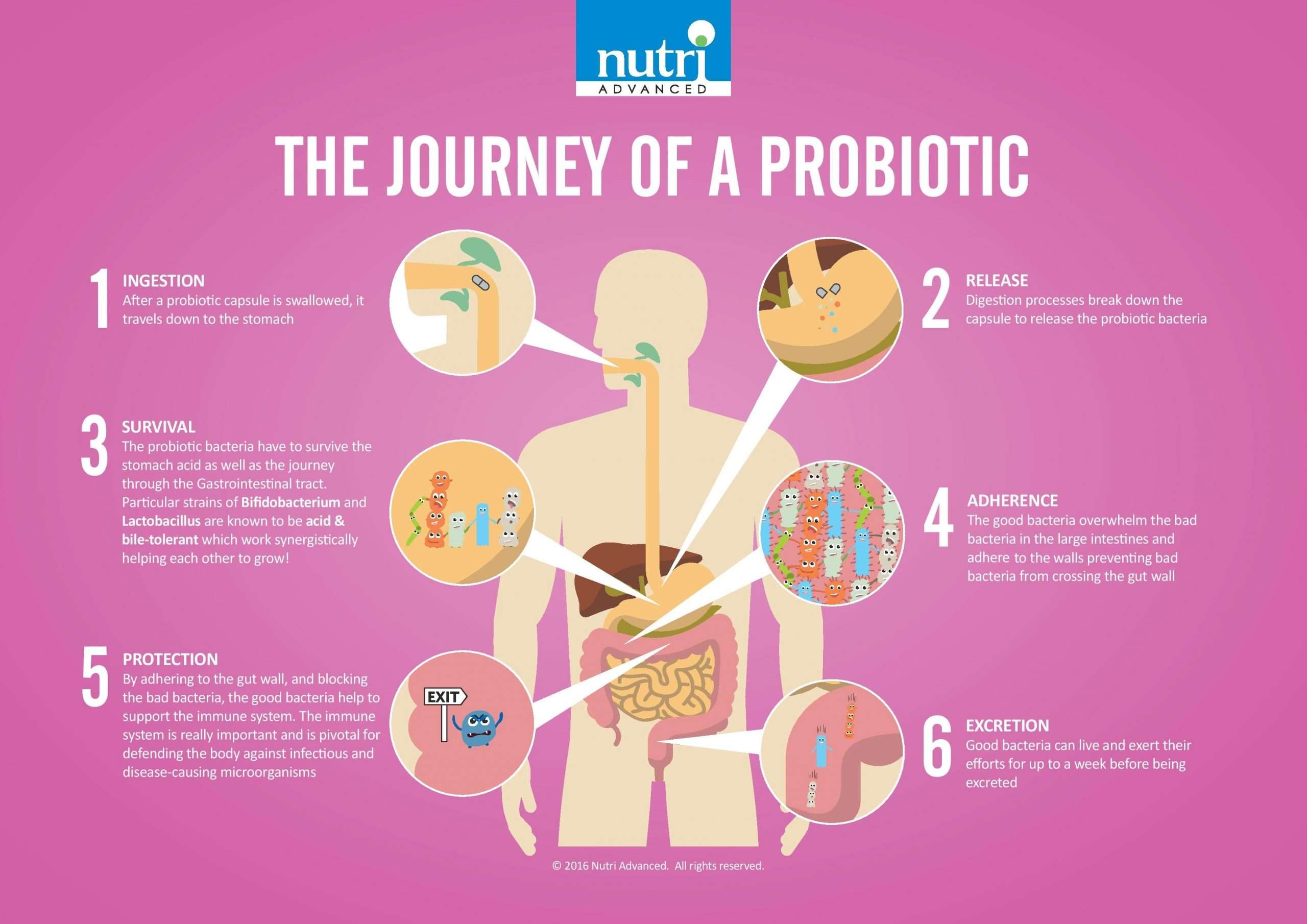 Clearing up the Confusion around Probiotics