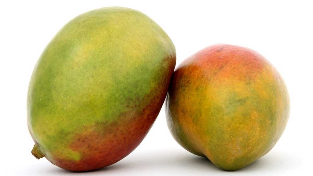 Does mango make you poop?