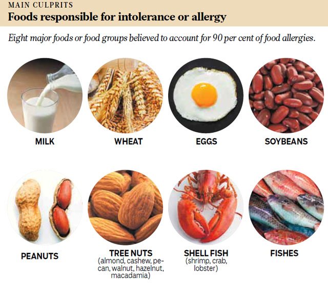 Food Allergy, Food Intolerance, or Something Else?