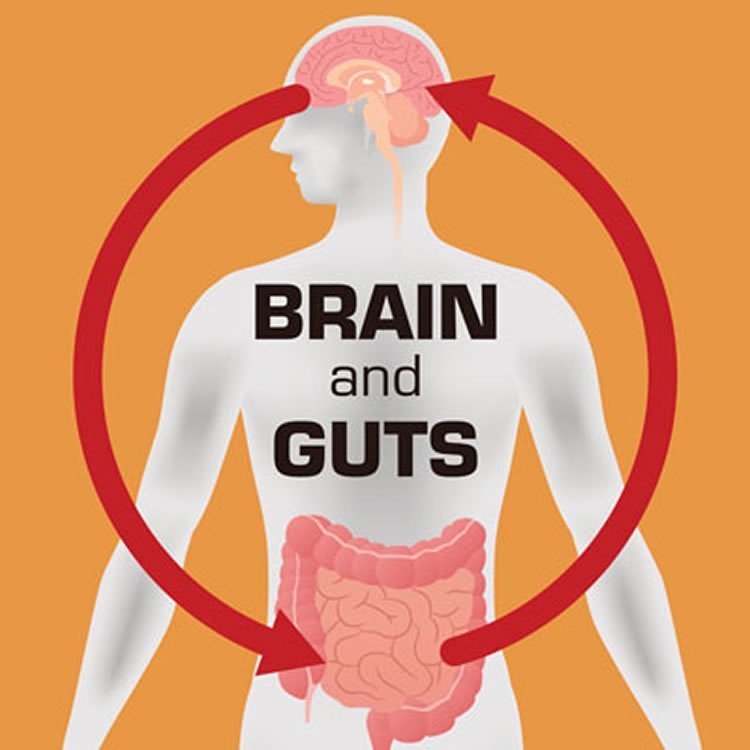 Further Evidence For Link Between Gut Bacteria and ...