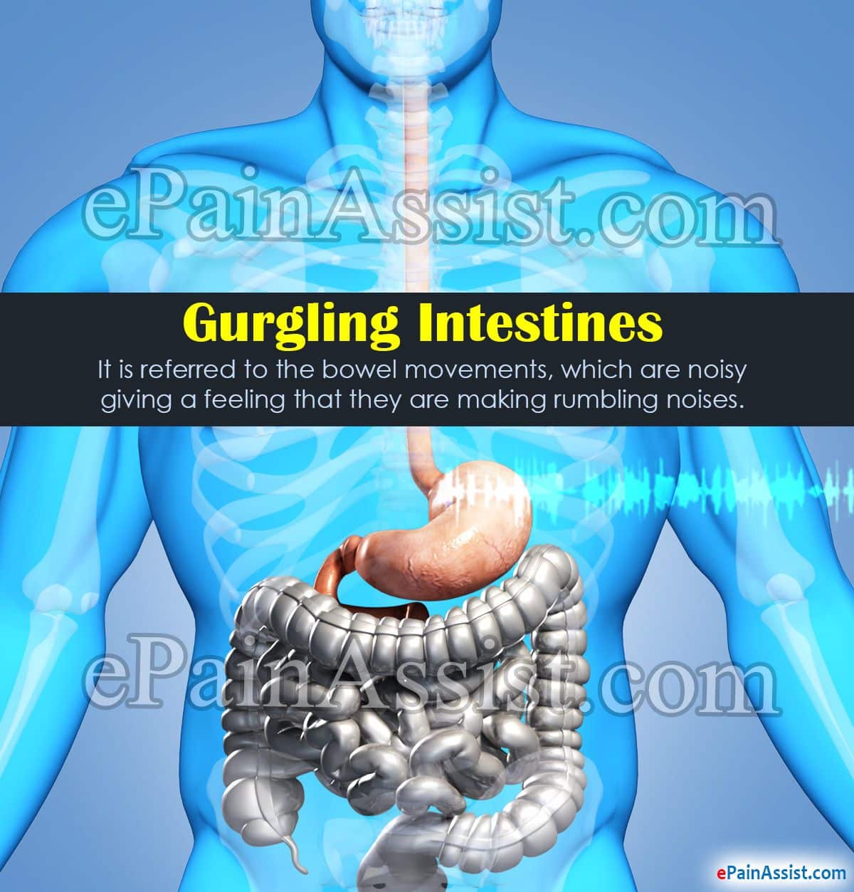 Gurgling Belly While Pregnant