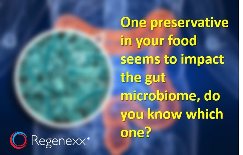 gut microbiome adapt food preservatives