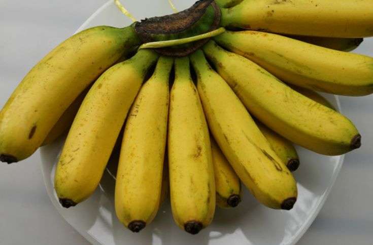 Home Remedies to stop #Diarrhea in Babies Banana helps to restore the ...