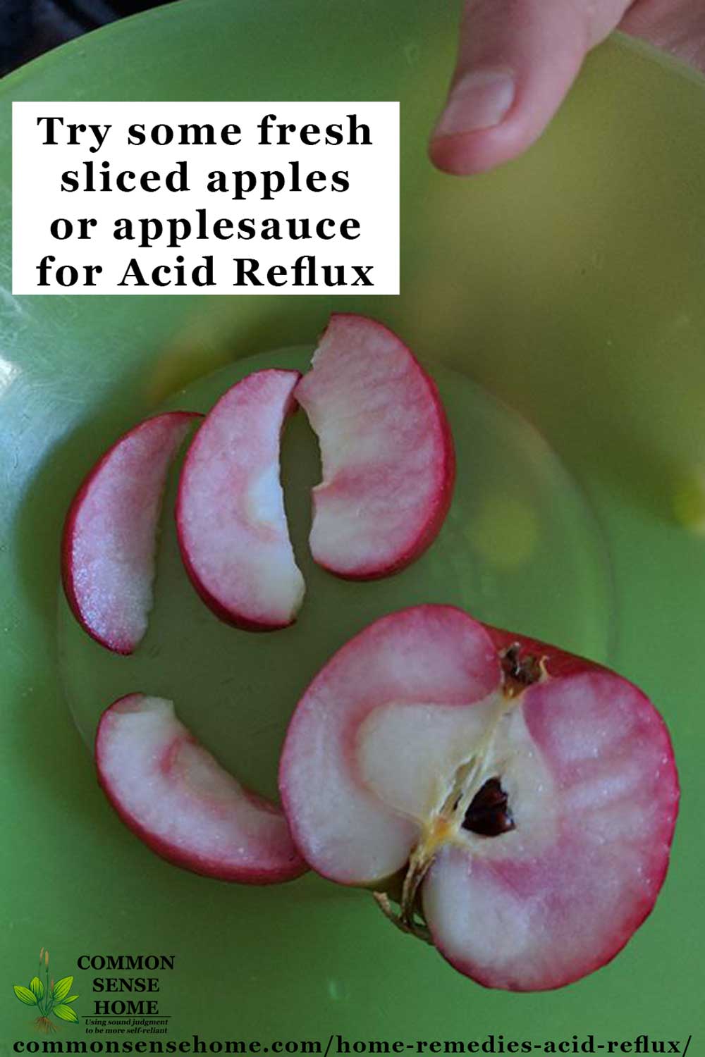 Homesteading Alliance: 10 Home Remedies for Acid Reflux ...