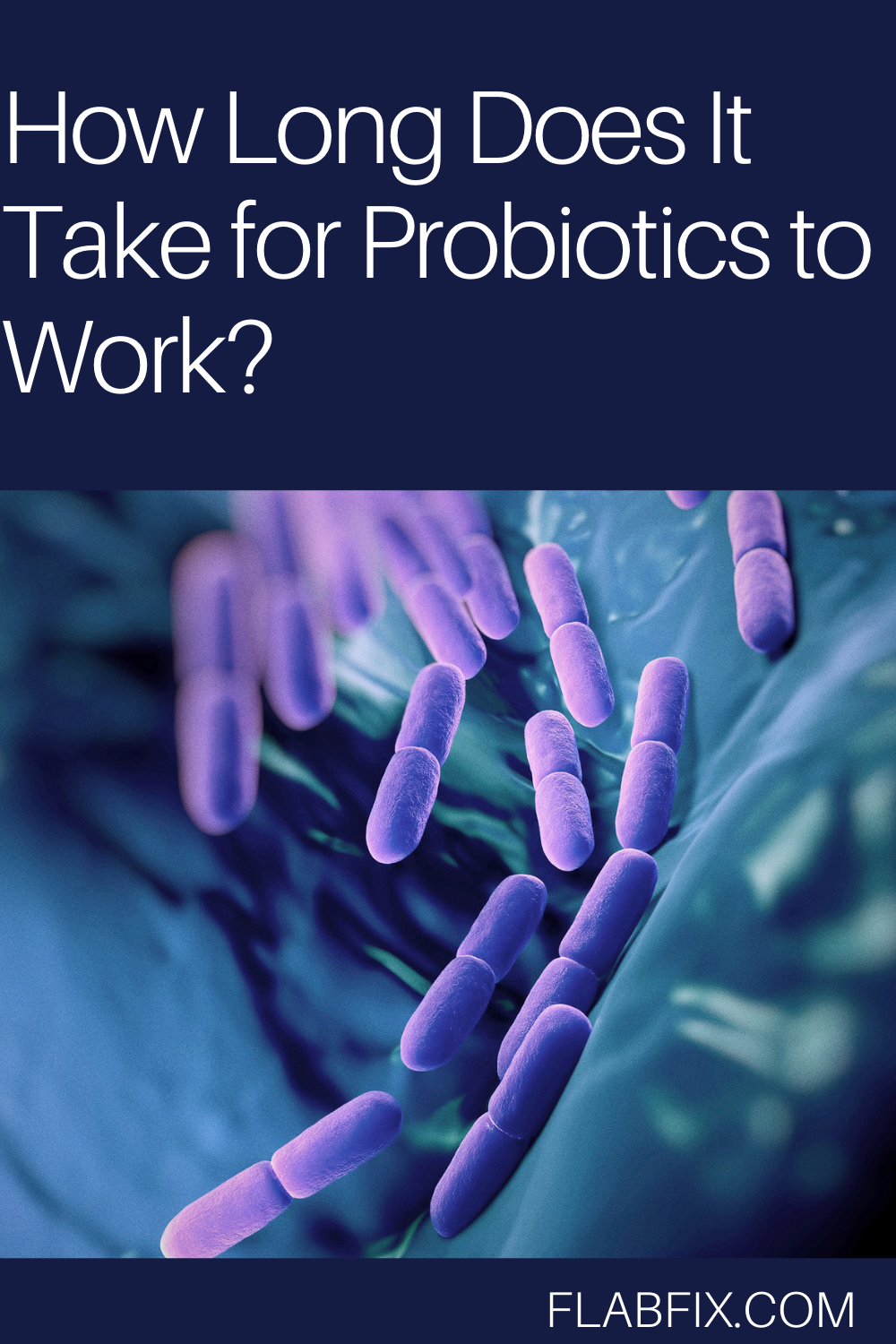 How Long Does It Take for Probiotics to Work?