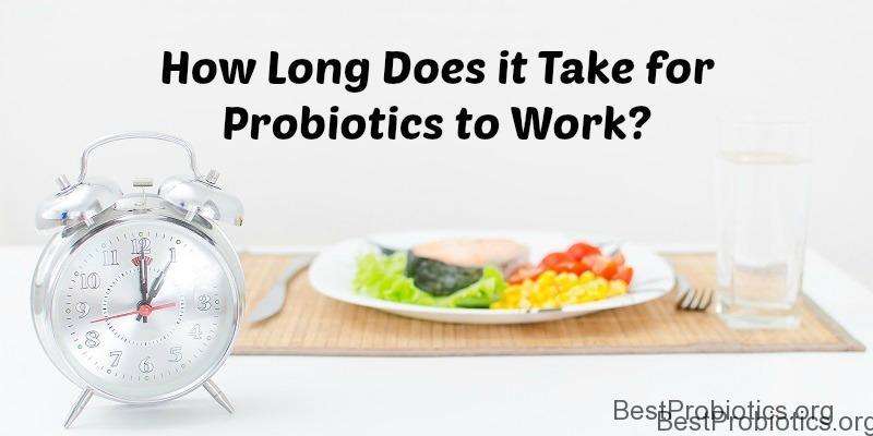 How long will probiotics cause gas, the best probiotic tablets uk list ...