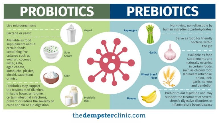 How Prebiotics and Probiotics Can Transform Your Health