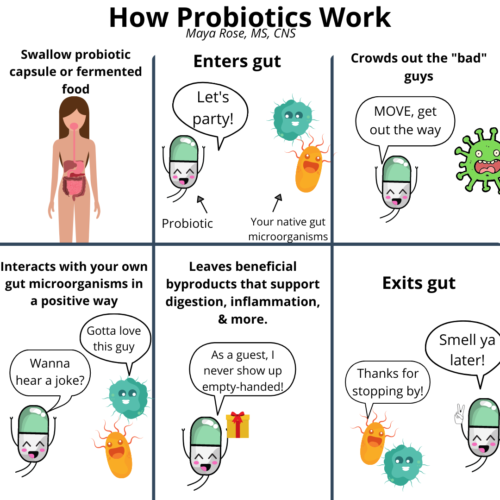 How Probiotics Work (and a tip to optimize probiotic use!)