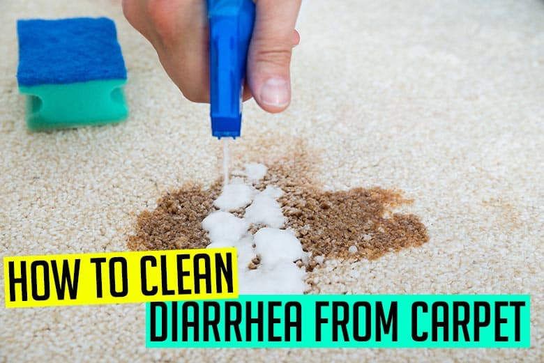 How to Clean Diarrhea from Carpet: Step
