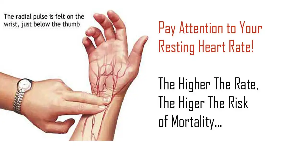 How To Improve Your Resting Heart Rate