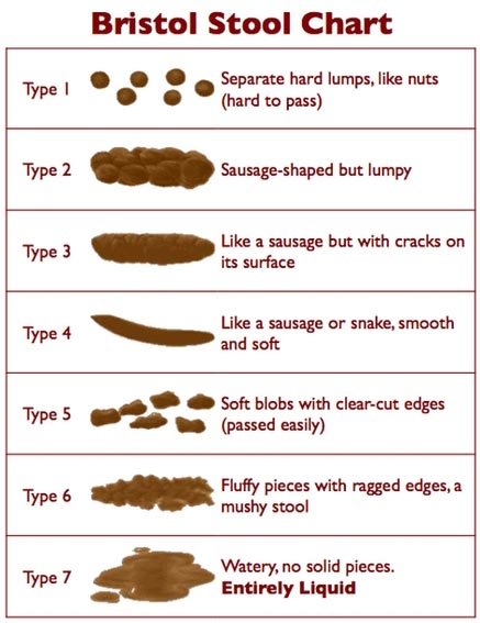 How your poop shape indicates your health