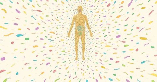 Human Microbiome: The Role of Microbes in Human Health ...