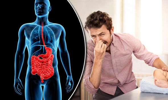 IBS and Crohns disease symptoms: They may be the reason why you cant ...