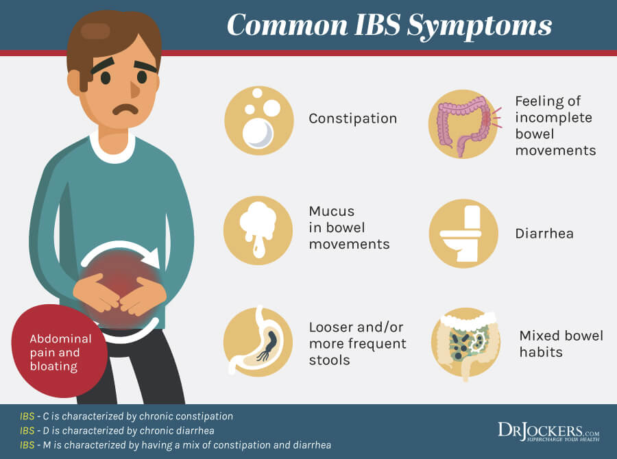Irritable Bowel Syndrome: 8 Strategies to Heal Your Gut ...