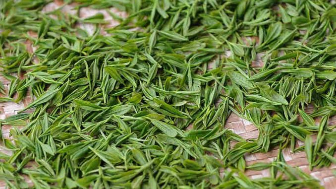 Is Green Tea Good For Acid Reflux?