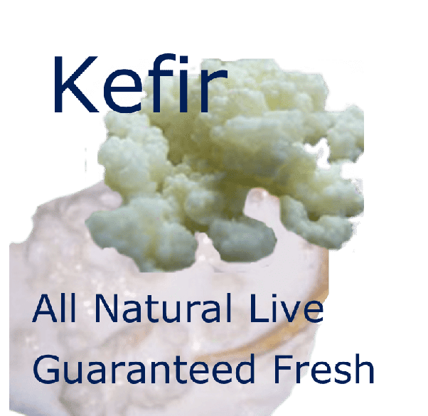 Is kefir good for health and why?