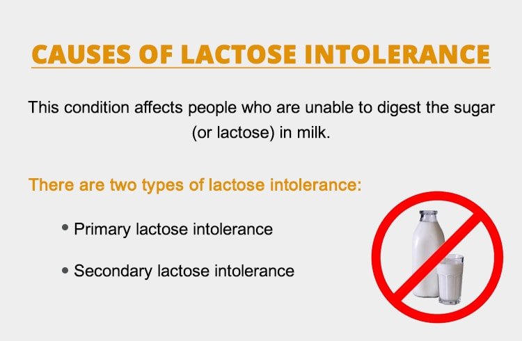 Lactose Intolerance Symptoms, Causes, Effects And ...