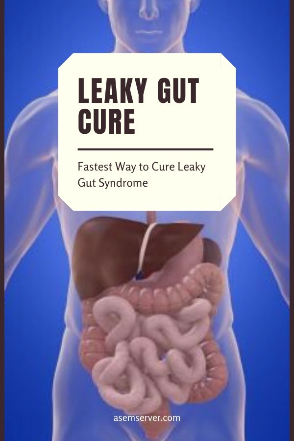 Leaky Gut Cure Guide Review