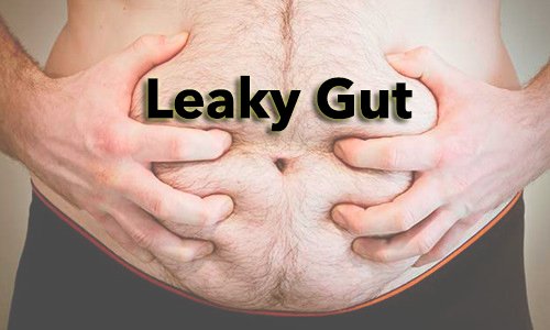 Leaky Gut (Intestinal Hyperpermeability)