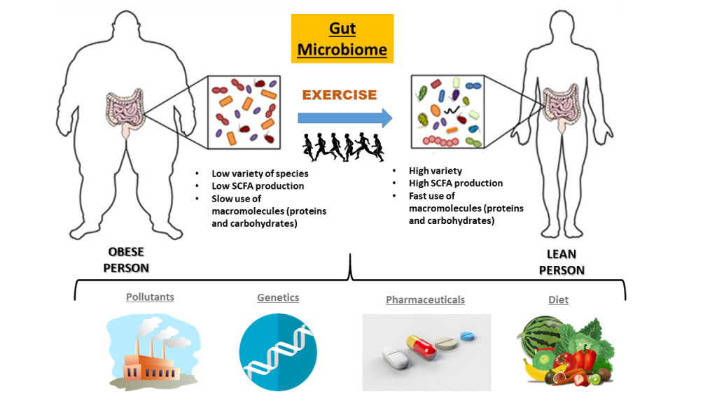 MICROBIOME, OR HOW YOUR GUT MAY DETERMINE YOUR HEALTH AND ...