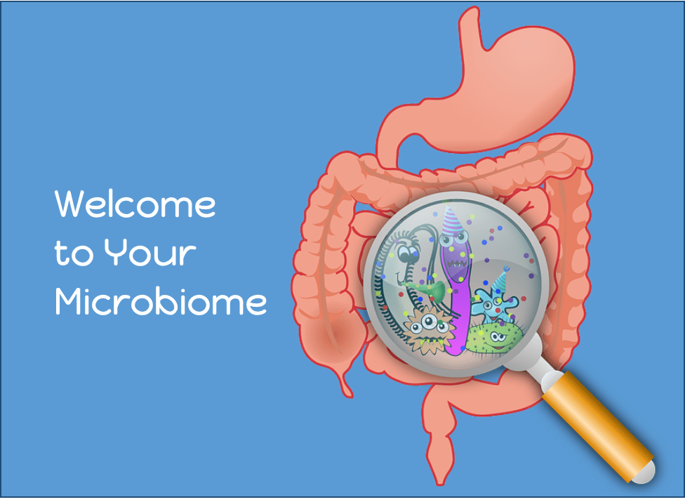 More than a Gut Feeling: Inside the Microbiome