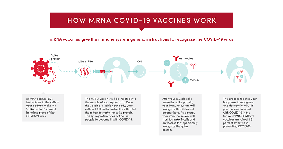 mRNA Vaccine for Coronavirus/COVID