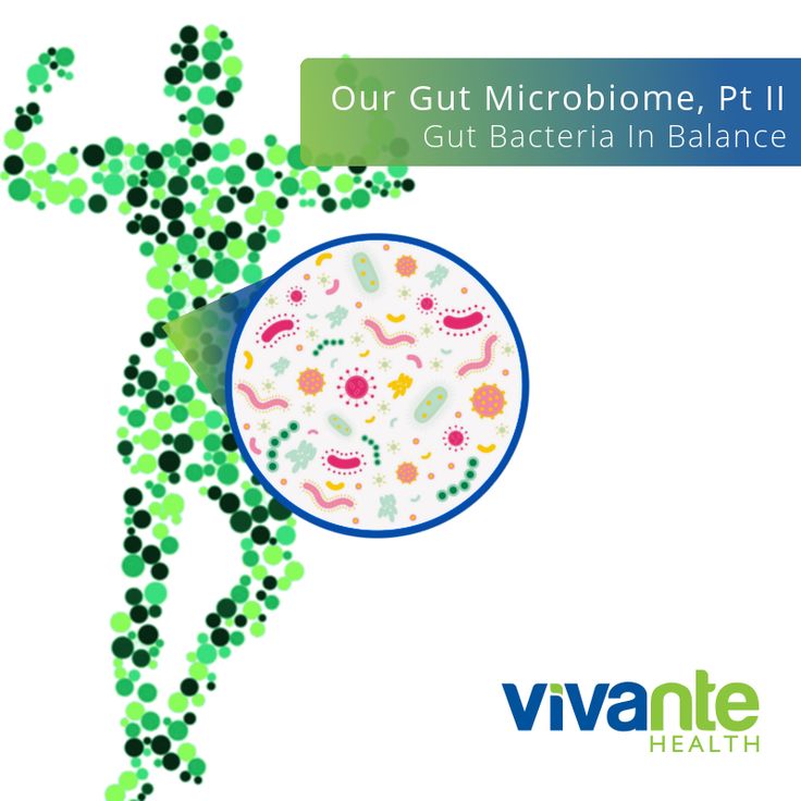 Our Gut Microbiome, Pt II: Gut Bacteria in Balance Turns ...