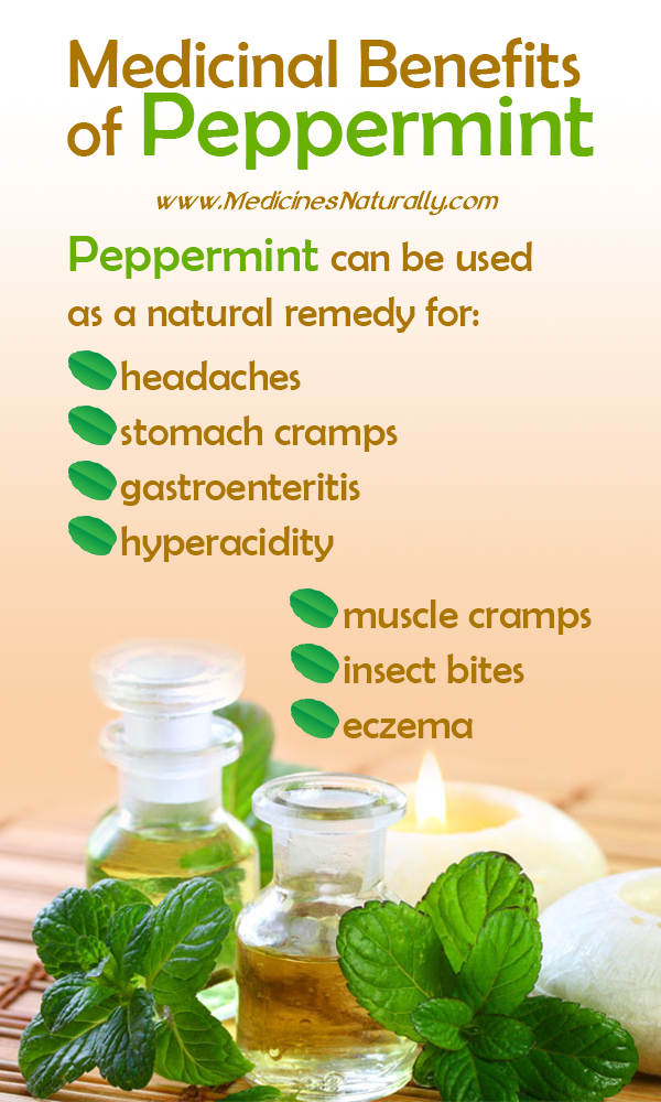 Peppermint Essential Oils Therapeutic Benefits ...