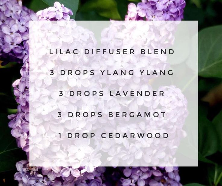 Pin on Diffuser Recipes for EO