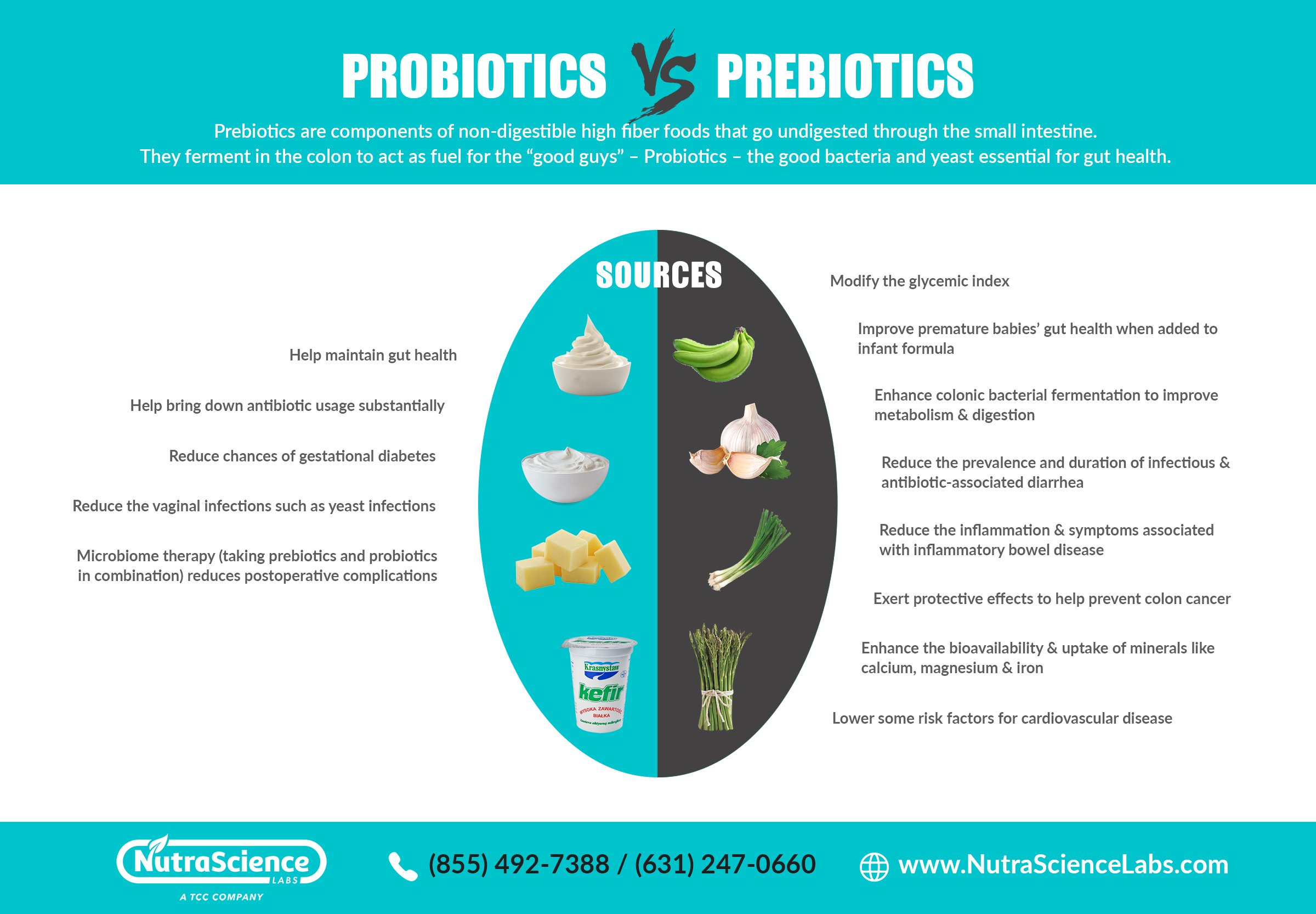Prebiotics vs. Probiotics: Key Differences Explained