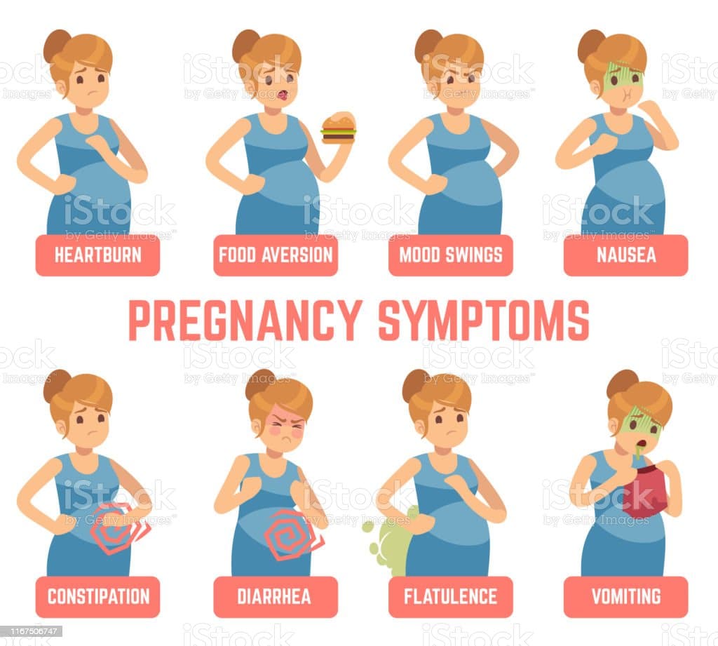 Pregnancy Symptoms Early Signs Pregnant Woman Change Appetite Heartburn ...