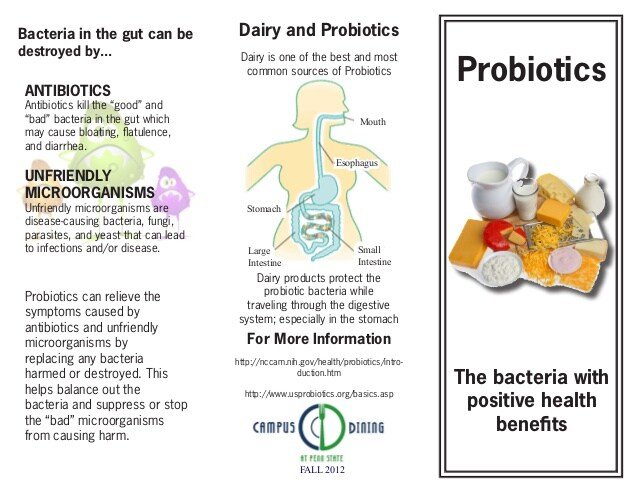 The Basics of Probiotics