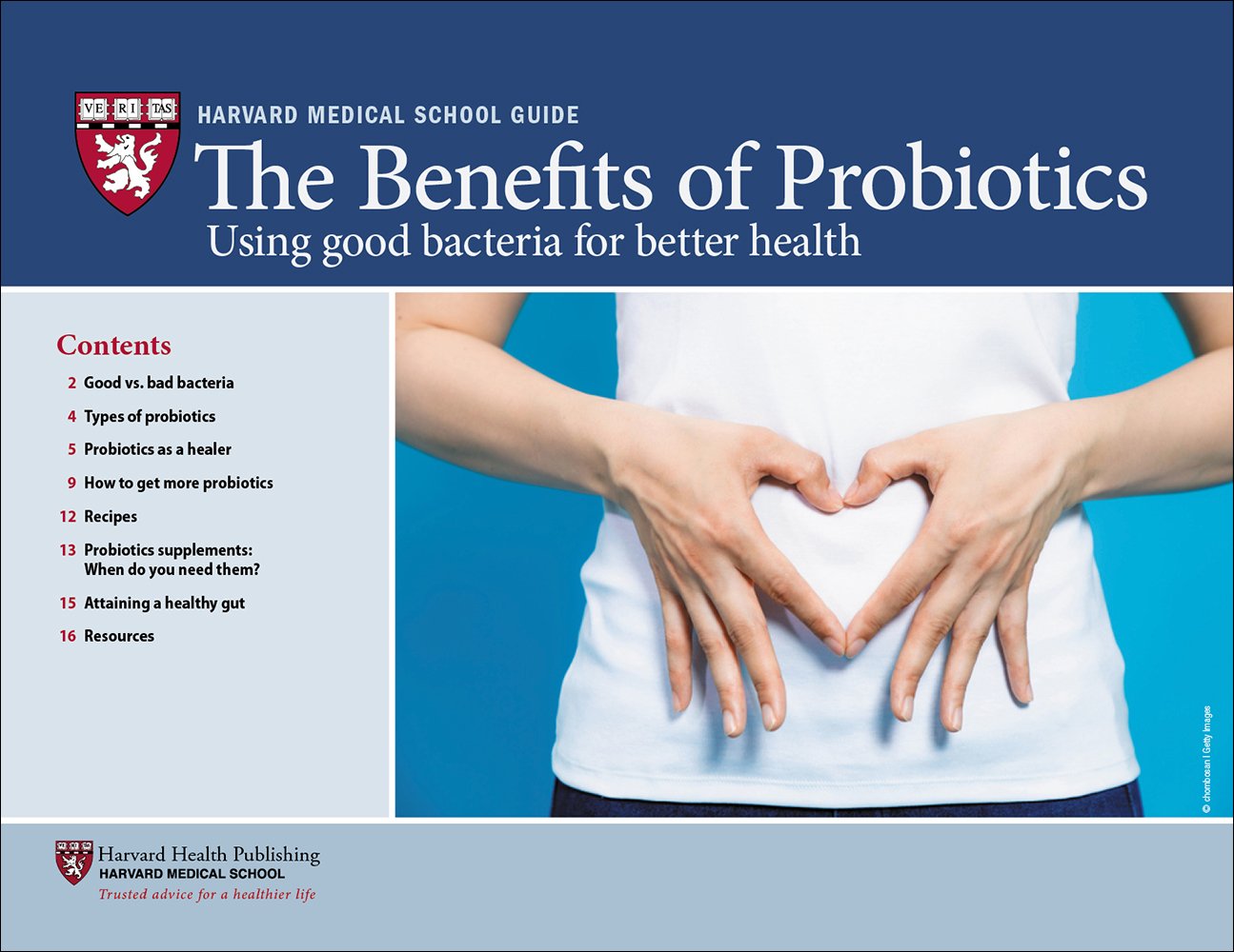 The Benefits of Probiotics: Using good bacteria for better ...