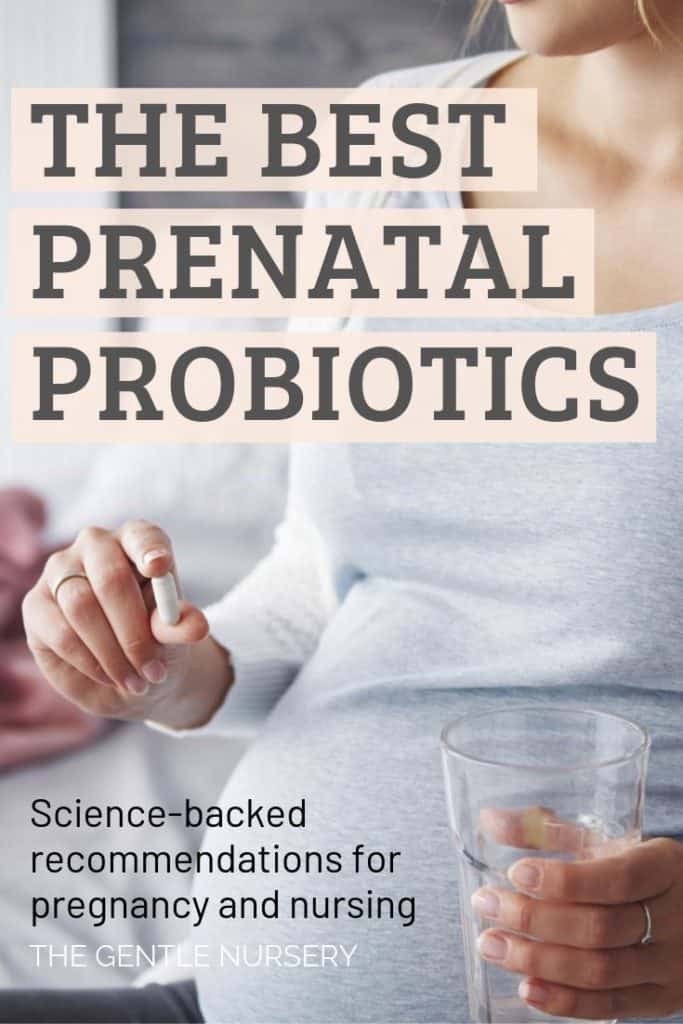 The Best Prenatal Probiotics for Pregnancy and ...