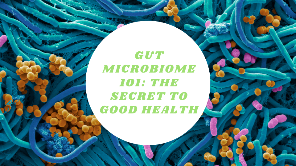 The Gut Microbiome 101: The Secret To Good Health