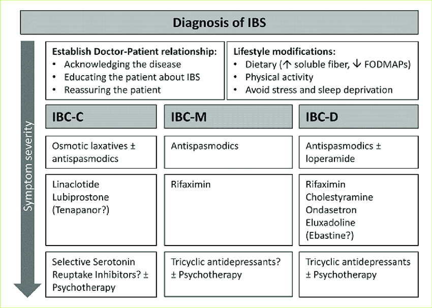 Treatment options for IBS according to predominant ...