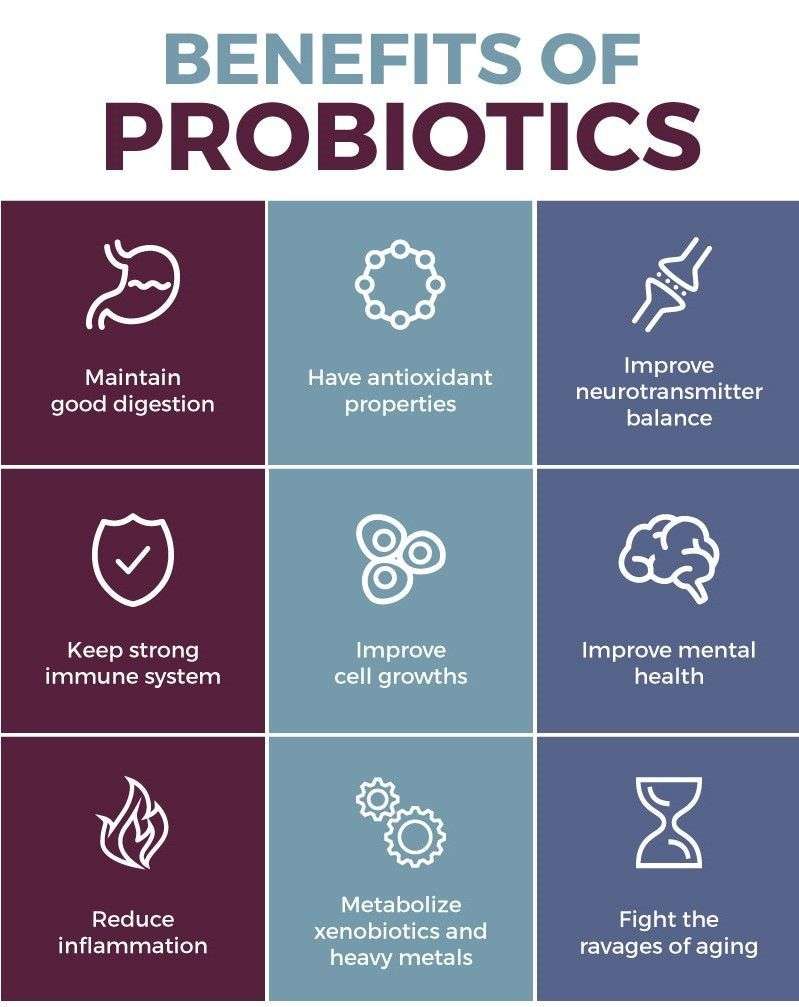 What Are The Health Benefits Of Probiotics