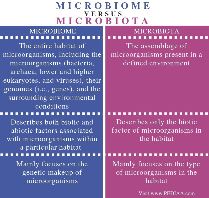 What is the Difference Between Microbiome and Microbiota ...