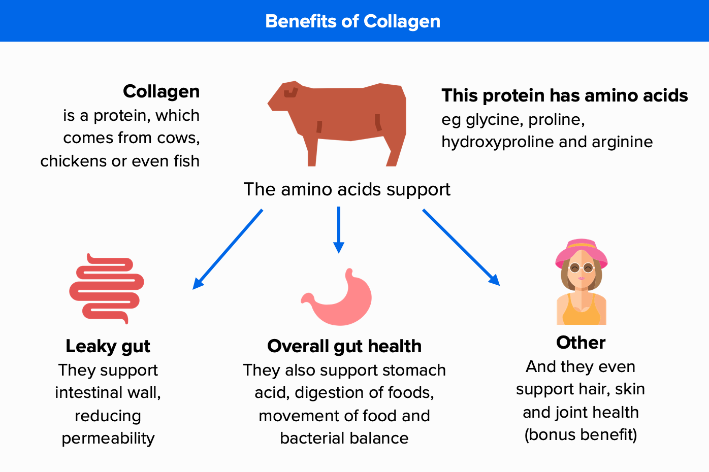 Why Collagen Is A Leaky Gut Superhero + My Best Tips.