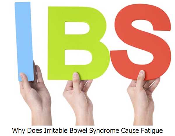 Why Does Irritable Bowel Syndrome Cause Fatigue? â Bavolex ...